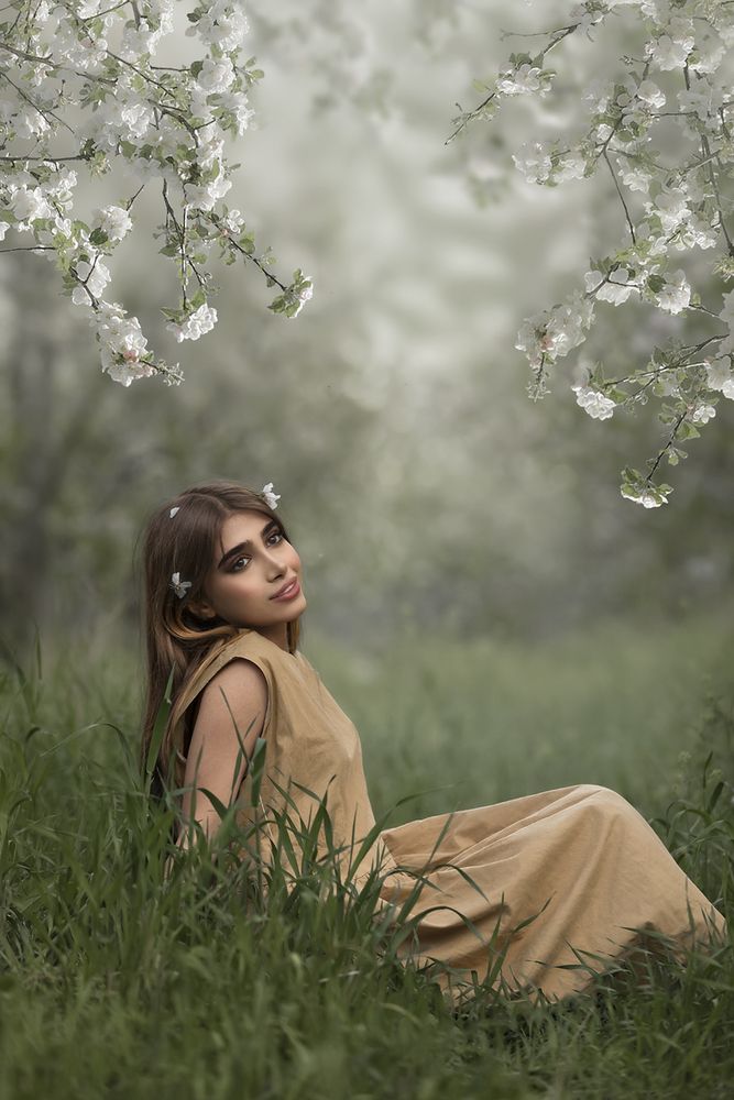 Фотография автора SABA Etehad Ketabchi