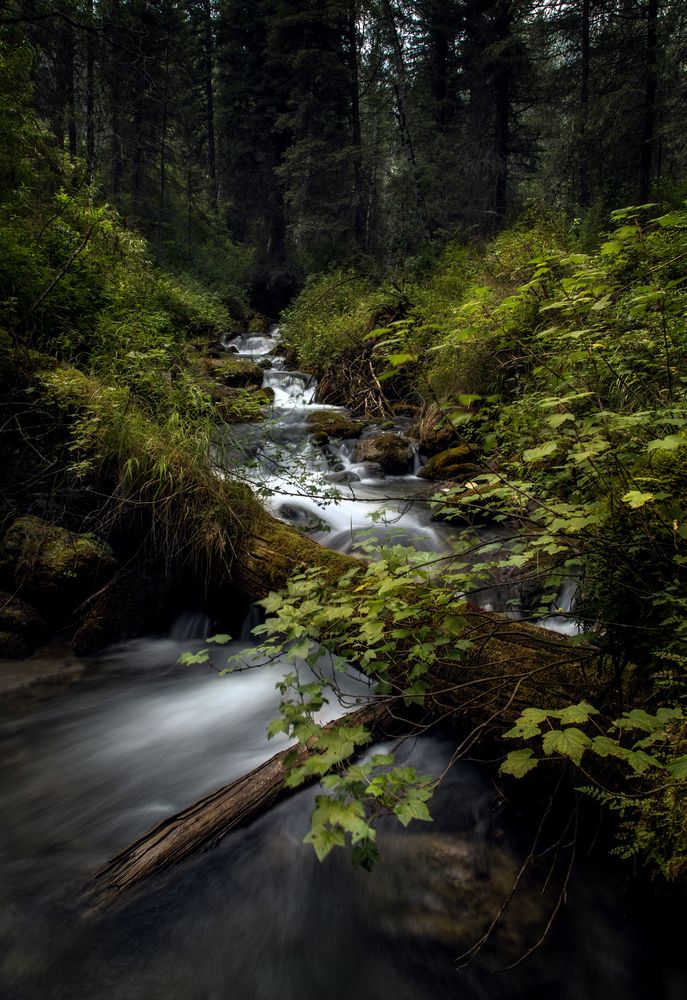 Photograph by Вениамин Скородумов