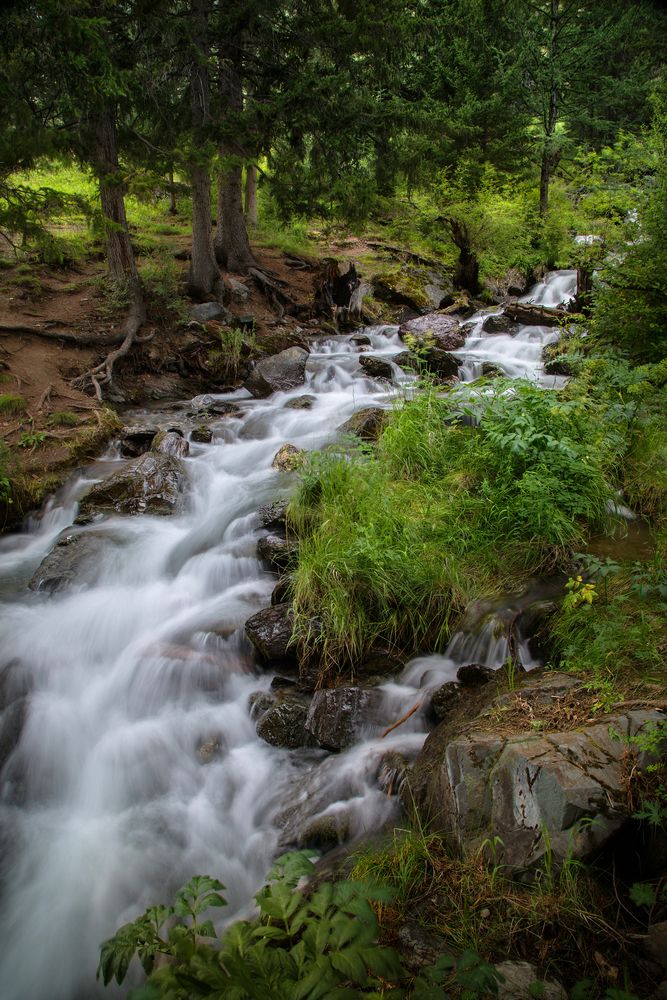 Photograph by Вениамин Скородумов