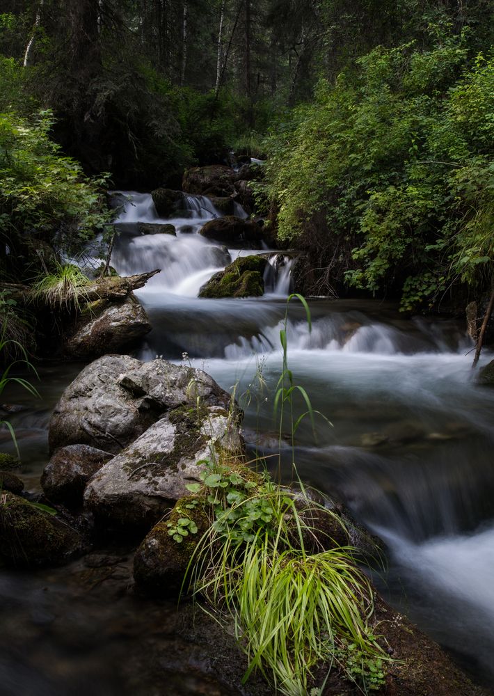 Photograph by Вениамин Скородумов