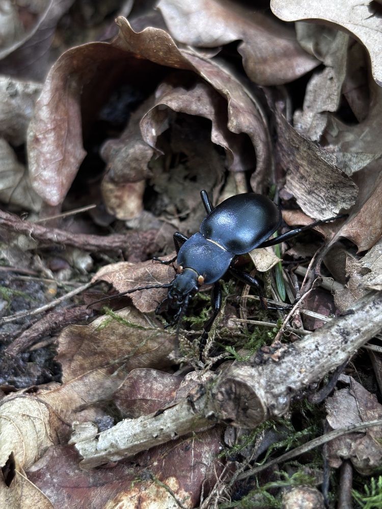 Photograph by Halina Mitsevich