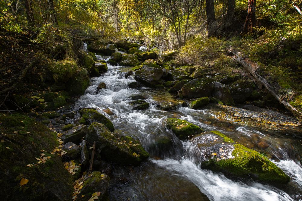 Photograph by Вениамин Скородумов