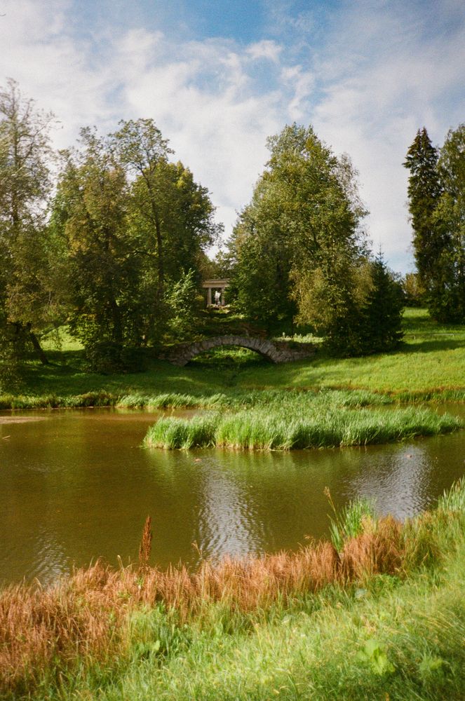 Фотография автора Регина Габдулхаева