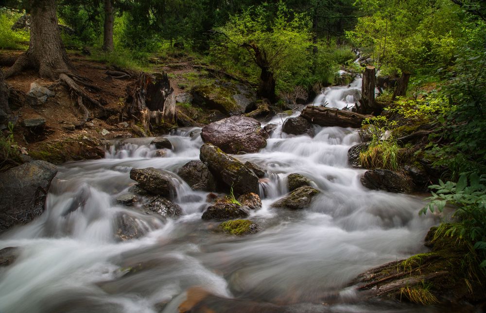 Photograph by Вениамин Скородумов