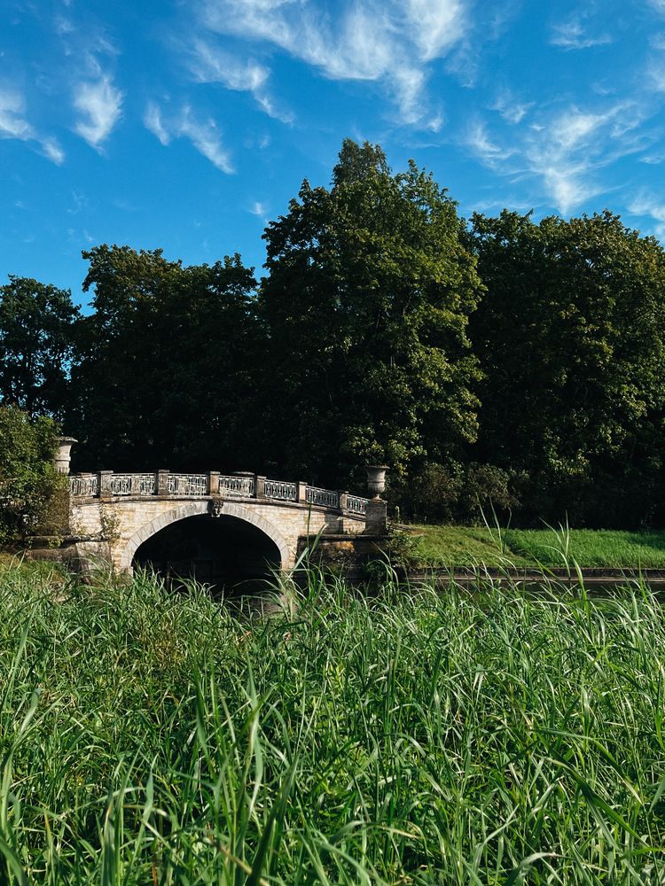 Фотография автора Регина Габдулхаева