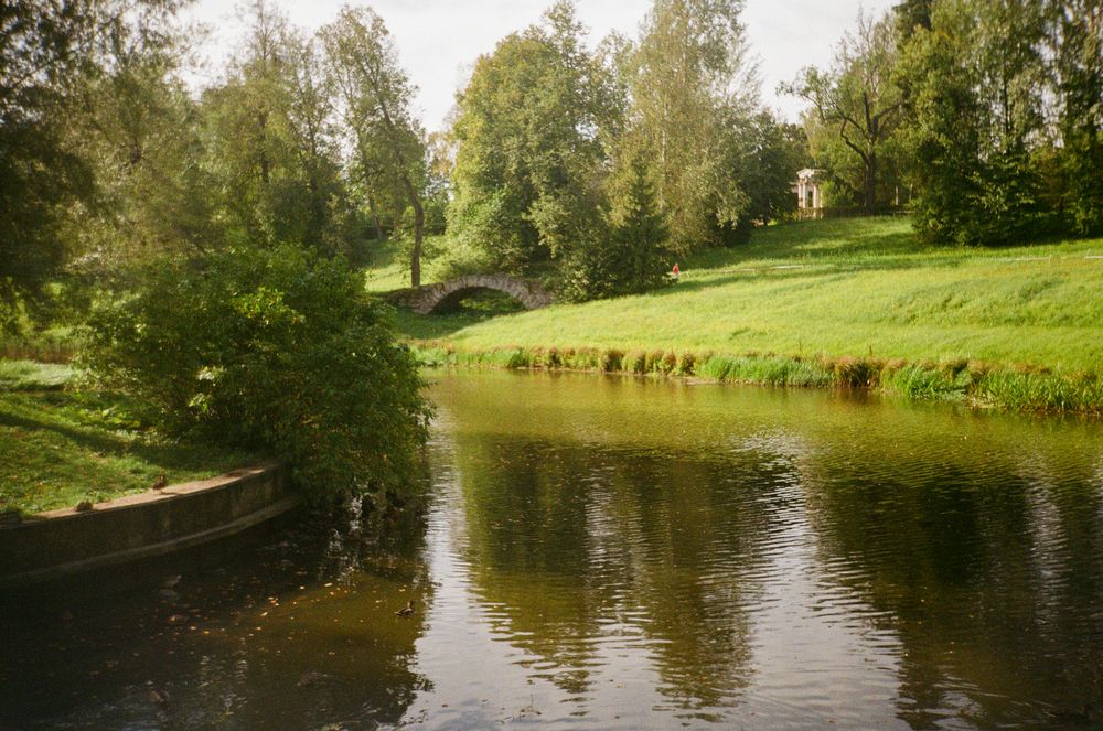 Фотография автора Регина Габдулхаева