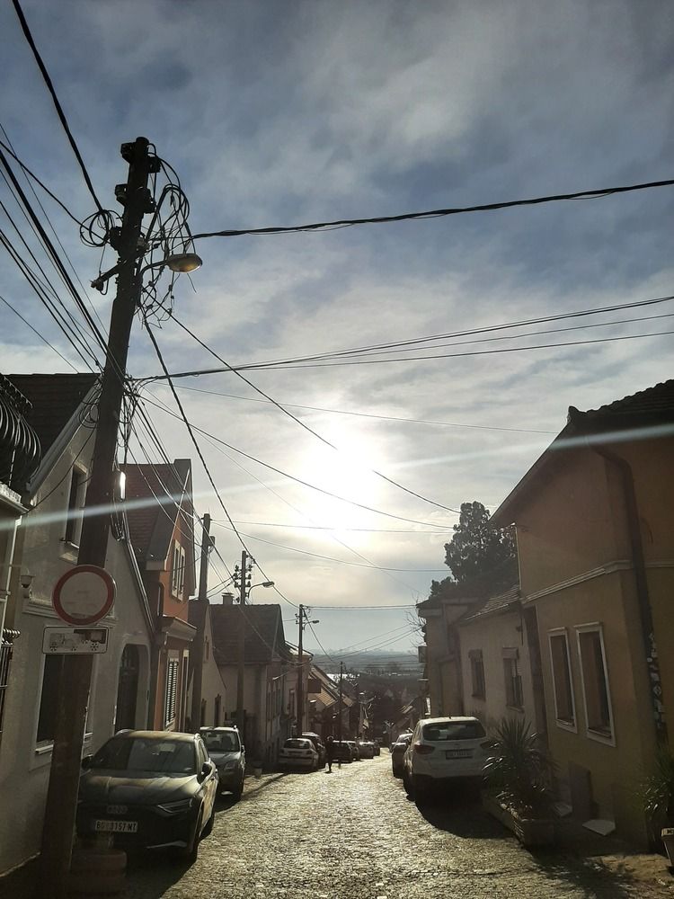 Photograph by amalija radović