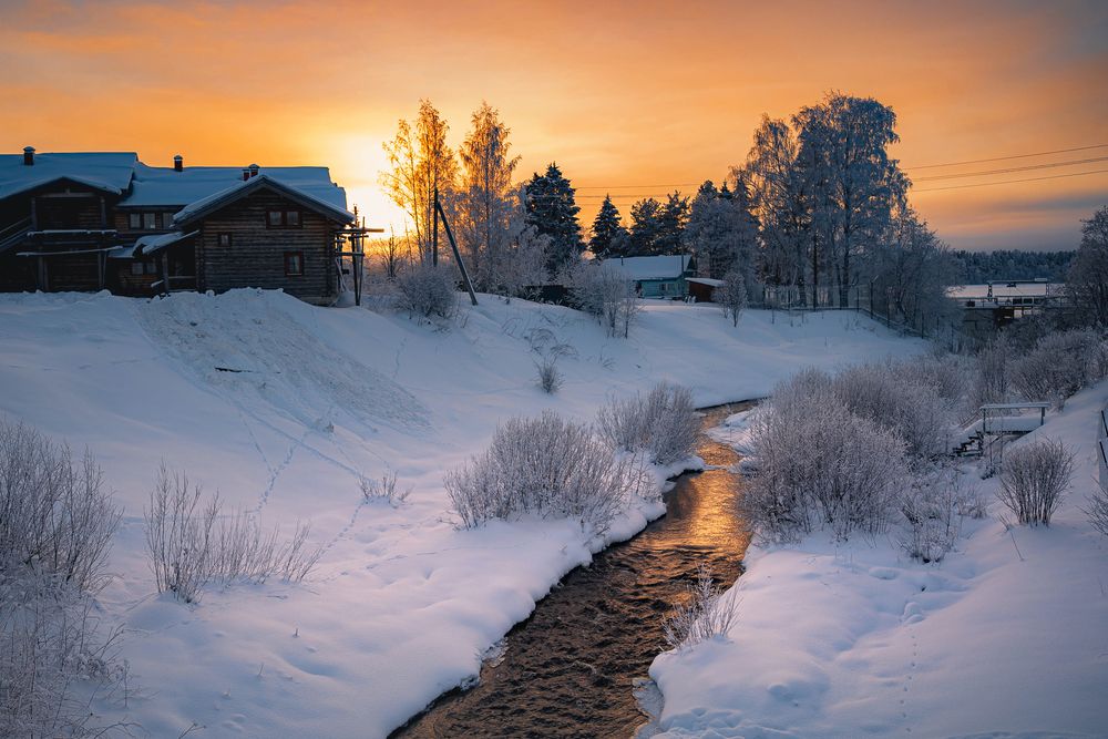 Photograph by Елена Савенкова