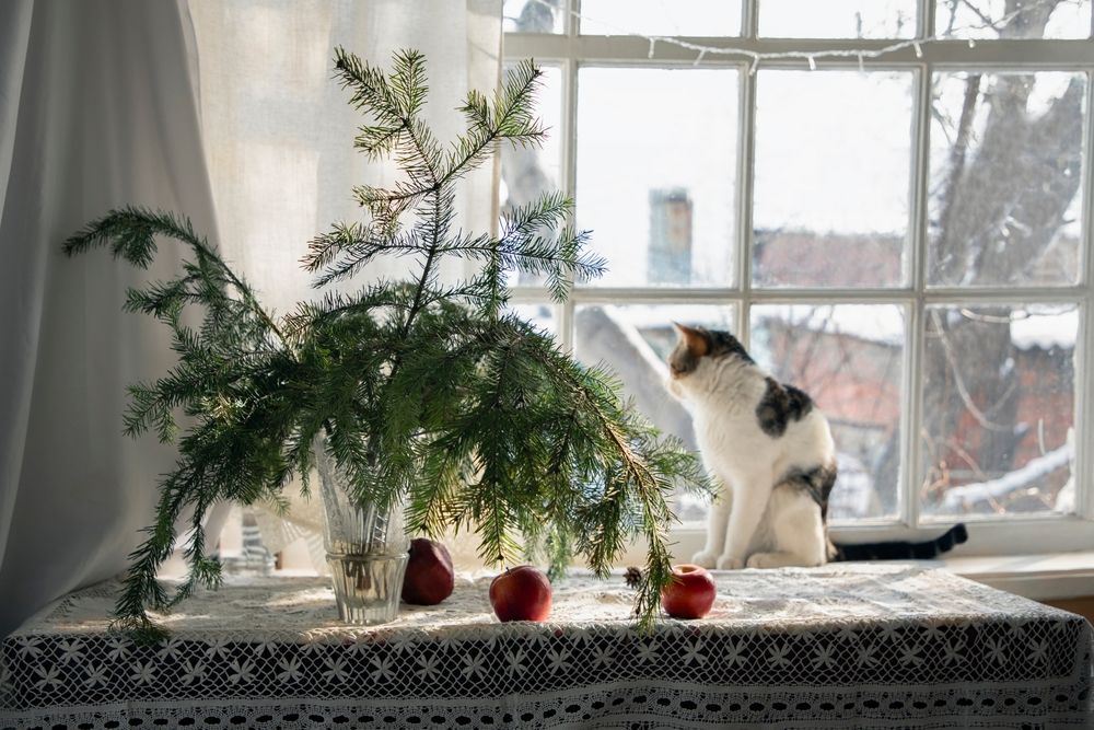 Photograph by Дарья Юсарева