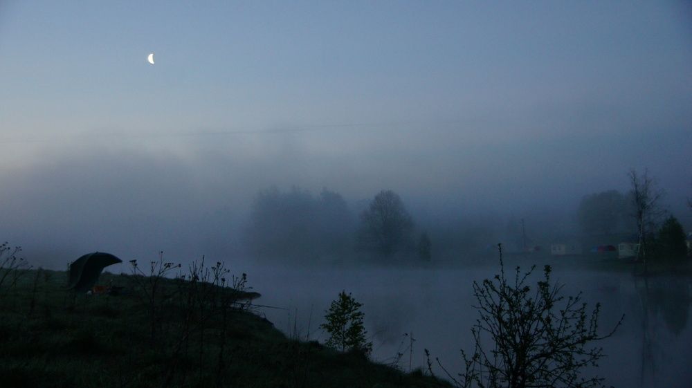 Фотография #13248045