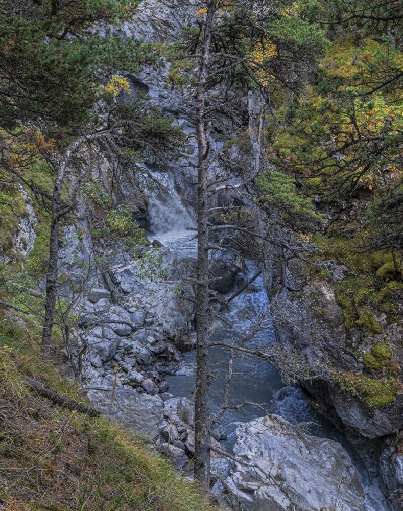 Photograph by Чухров Дмитрий