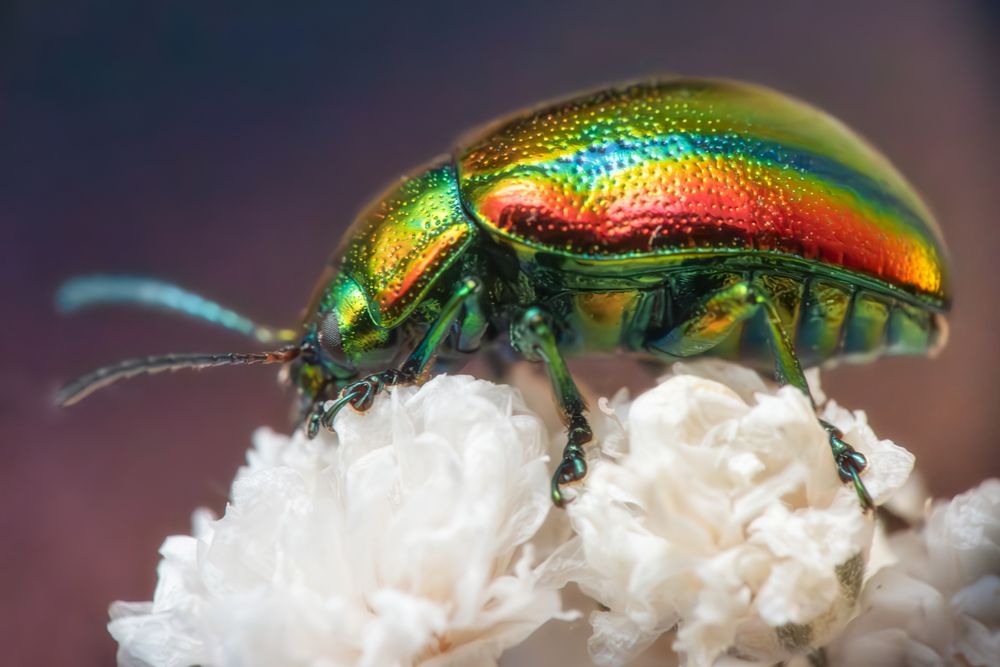 Photograph by Дмитрий Огольцов