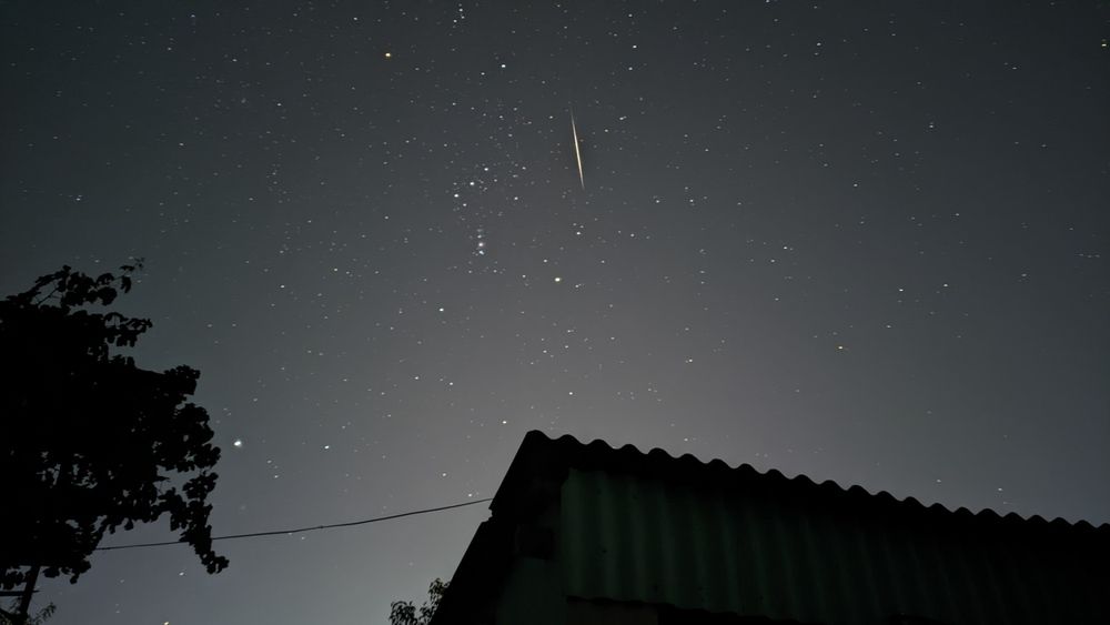 Photo #13248106