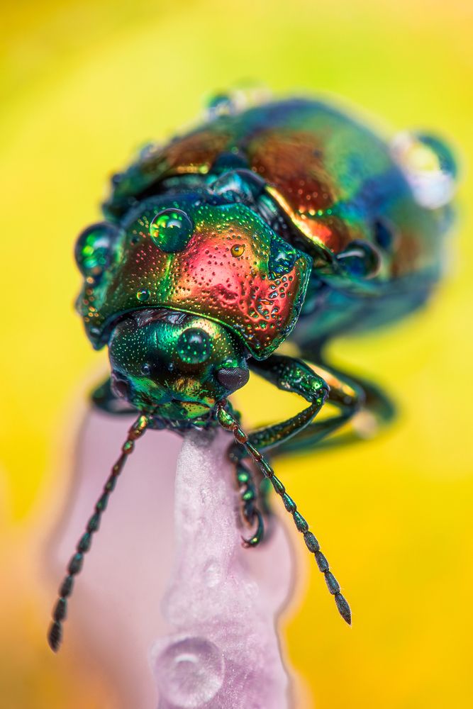 Photograph by Дмитрий Огольцов