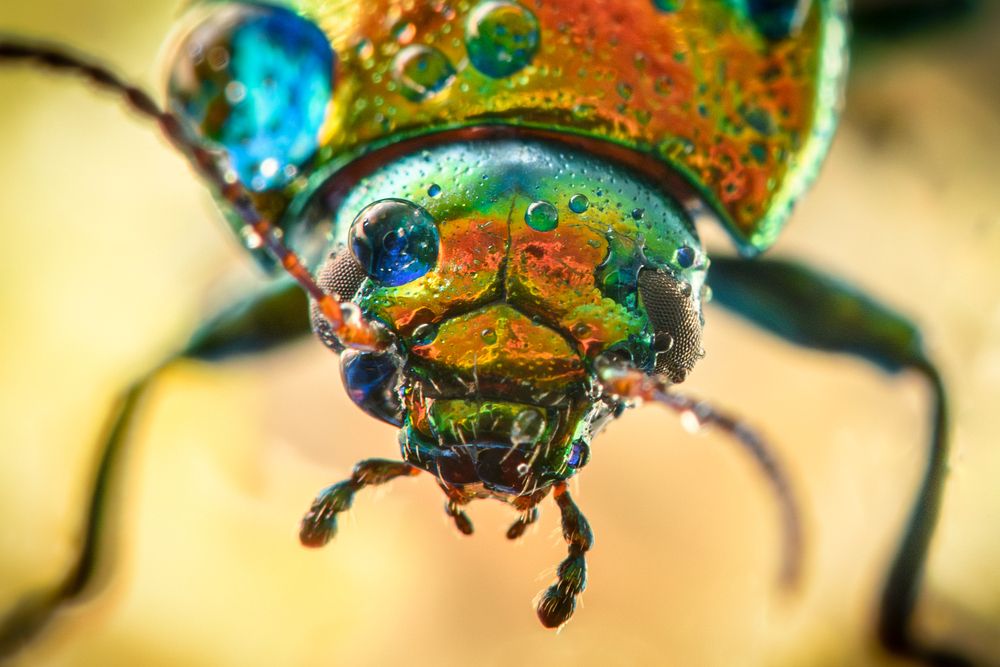 Photograph by Дмитрий Огольцов