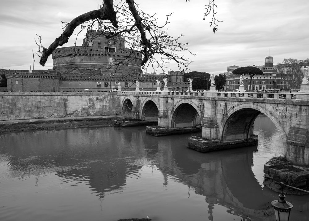 Photograph by Shahrouz Panahi