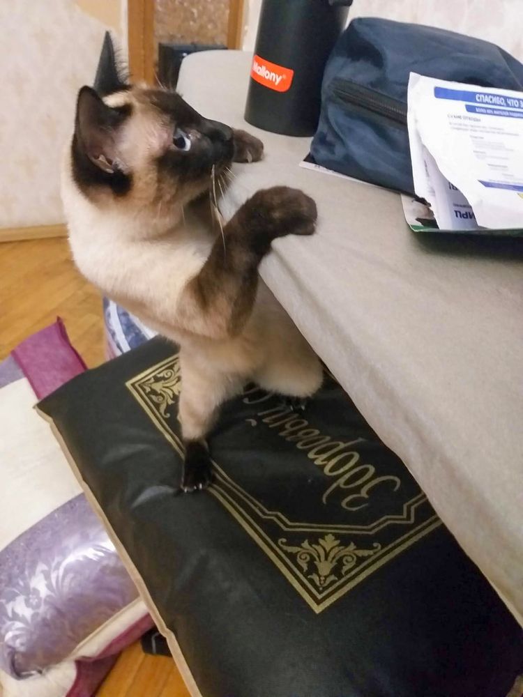 Photograph by Людмила Заботина