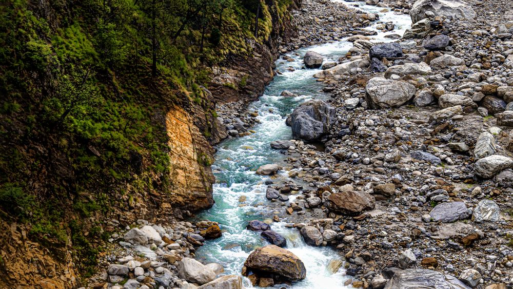 Фотография автора savitri Rawat