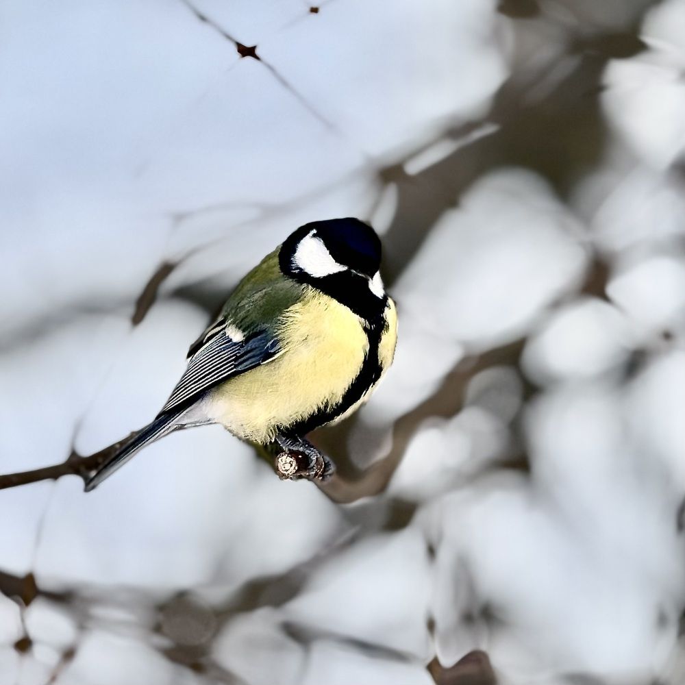 Photograph by Марина Измайлова