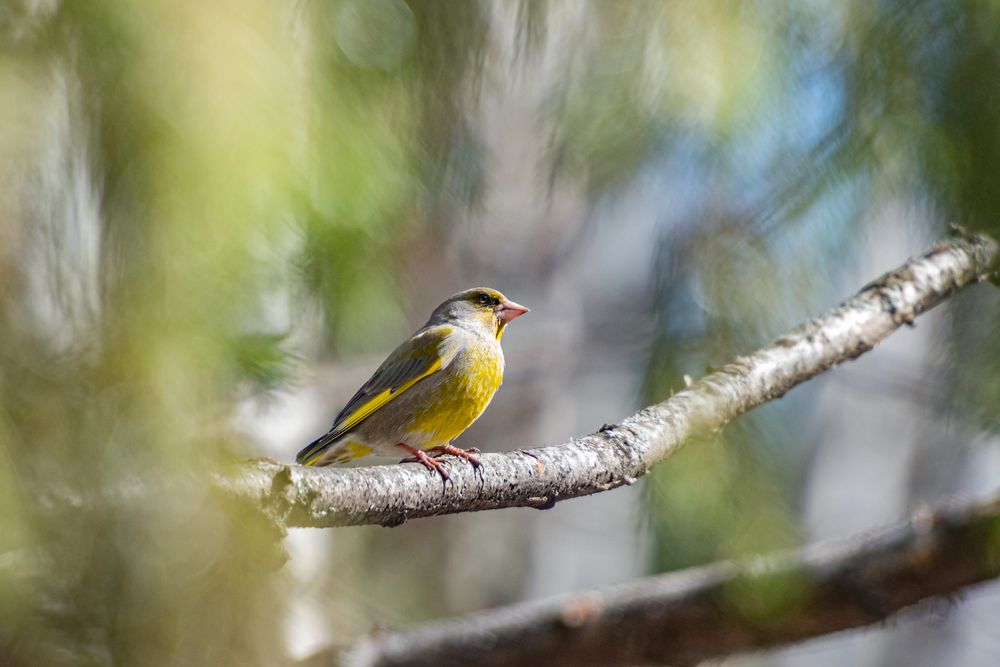 Photograph by Алексей