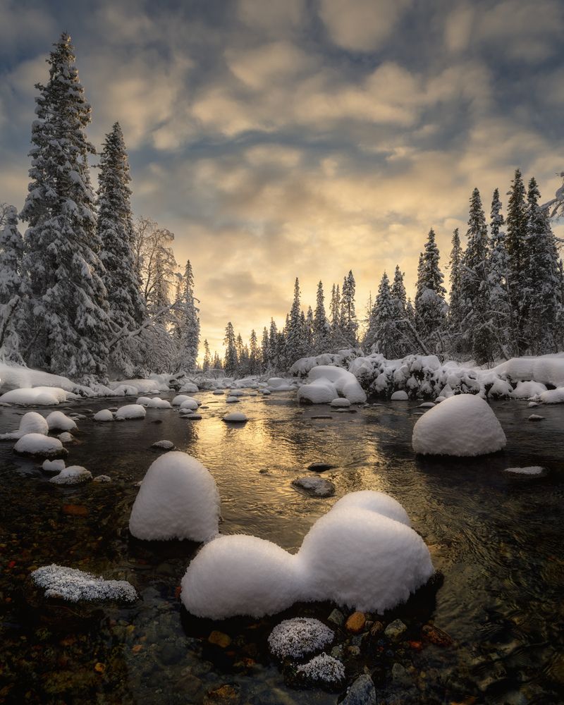 Photograph by Dmitry Medyancev