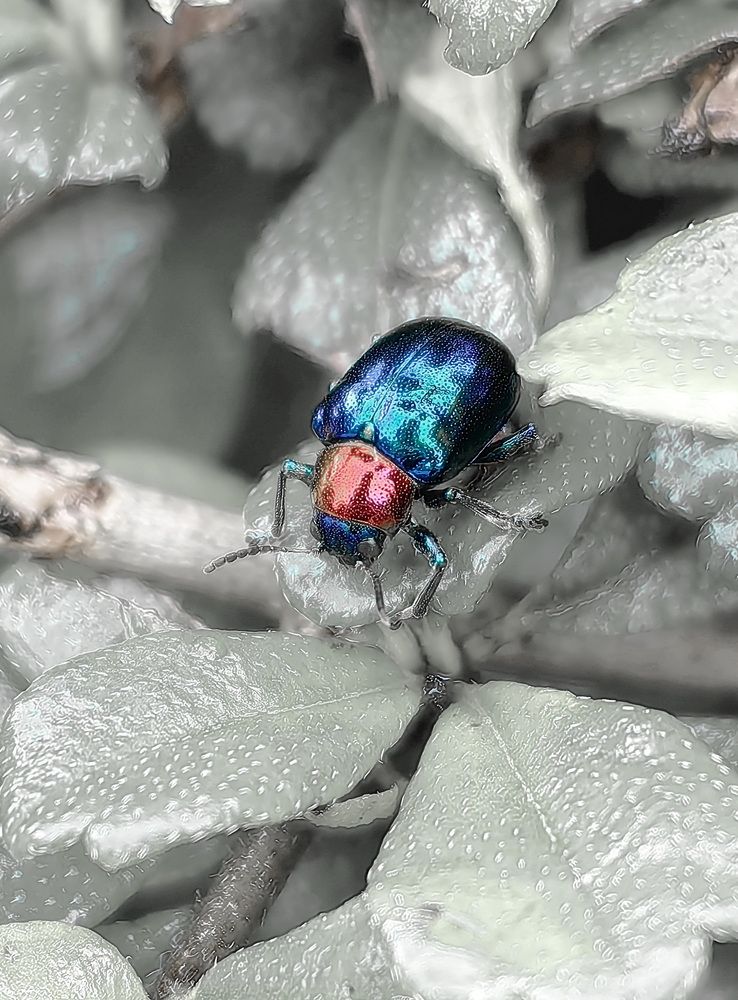 Photograph by Кристина Феминова