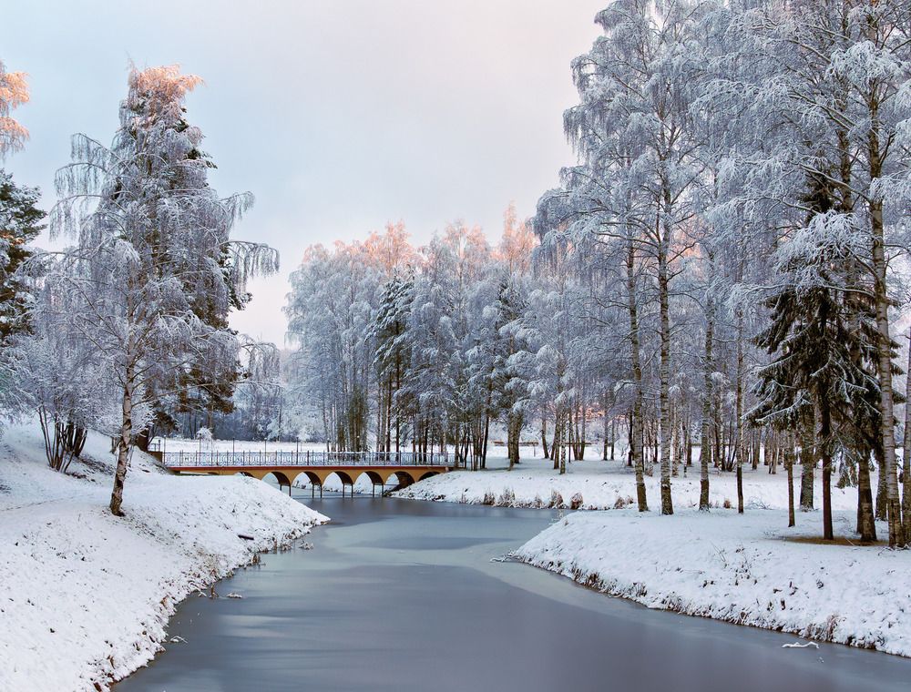 Photograph by Светлана Ващенко