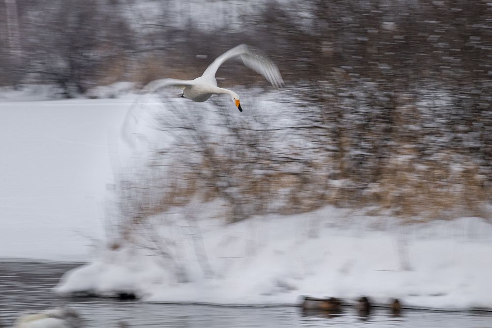 Photograph by Евгений Санин