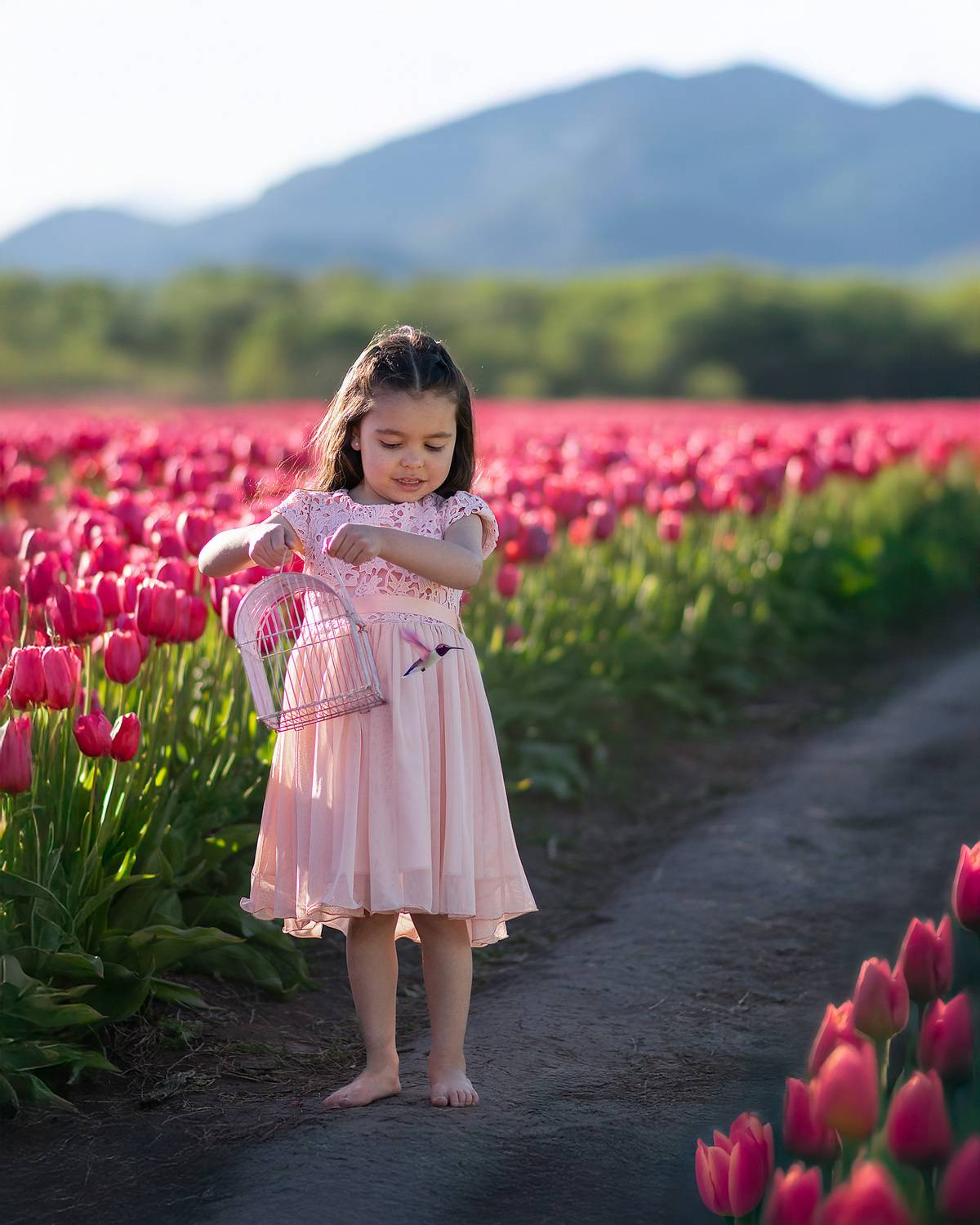 Фотография #13248400