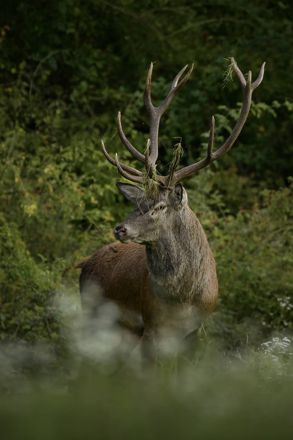 Фотография #13248447