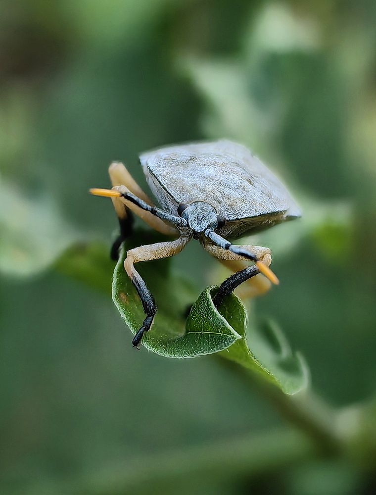 Photograph by Кристина Феминова