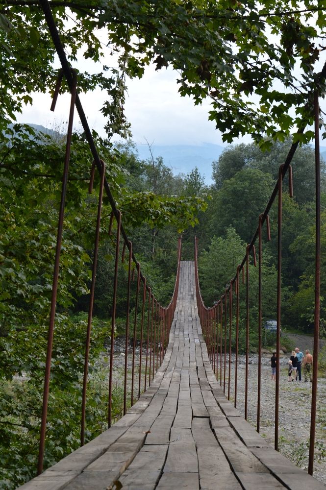 Фотография автора Ольга Шевцова