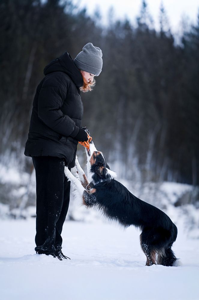 Photograph by Kira Demina