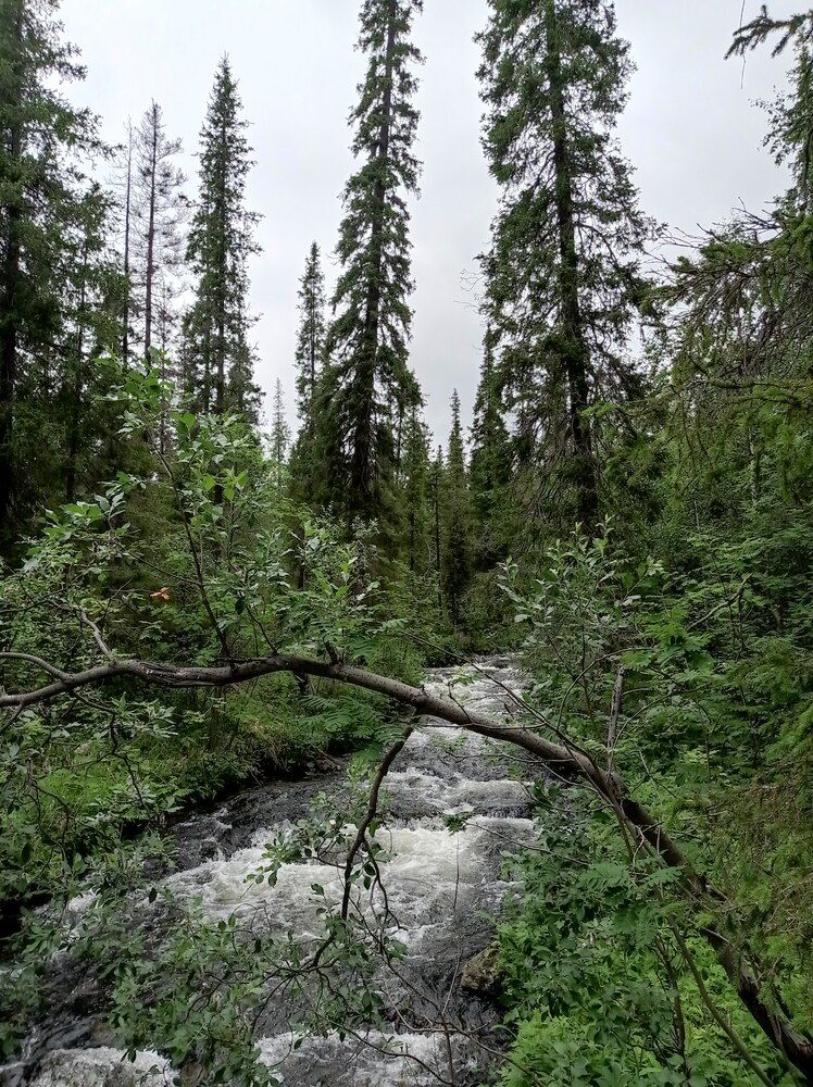 Photograph by Ирина Орлова