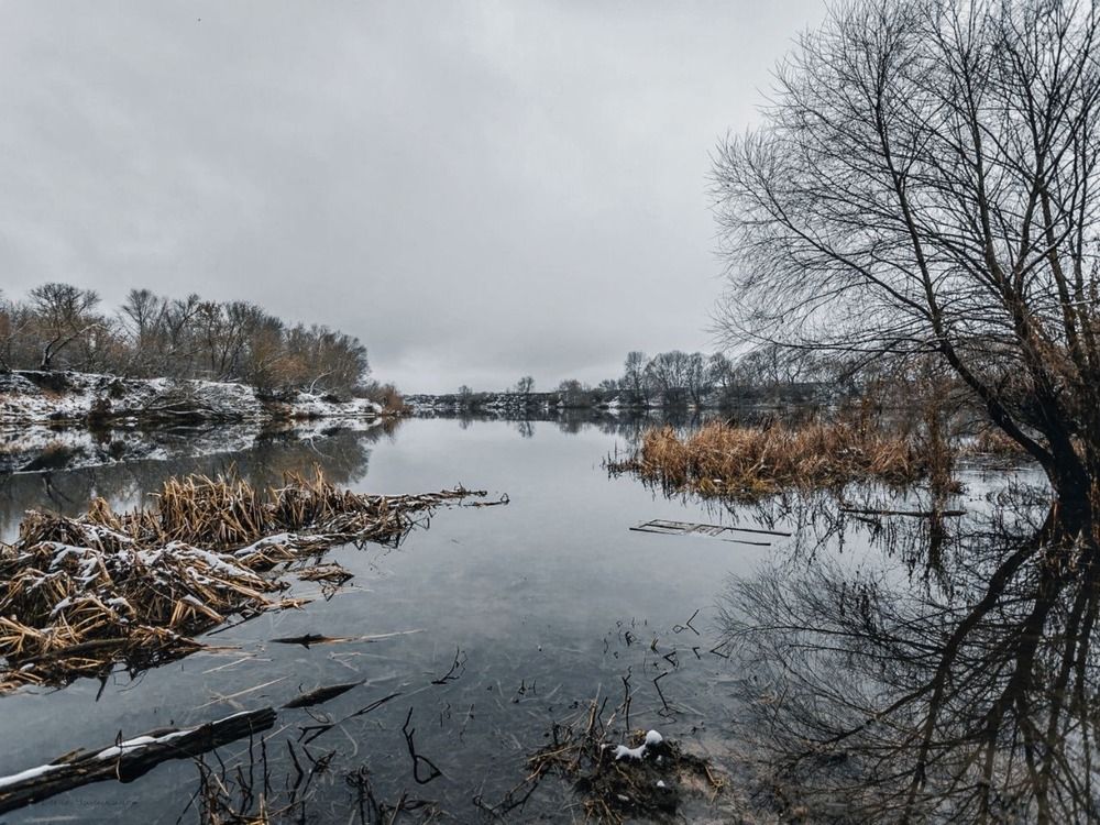 Photograph by Elena Chilikina