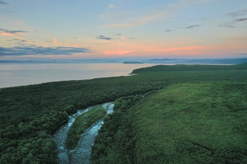 Фотография автора Лариса Ким