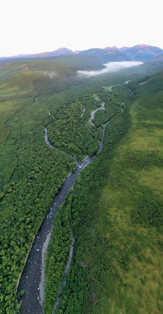 Фотография автора Лариса Ким