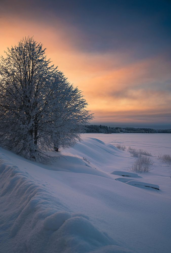 Photograph by Елена Савенкова