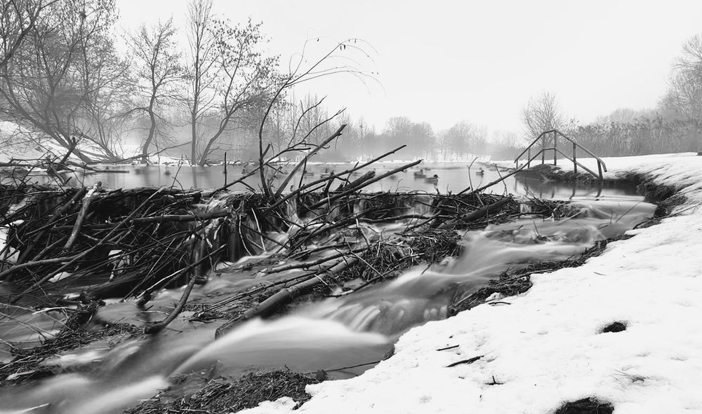 And the snow began to melt