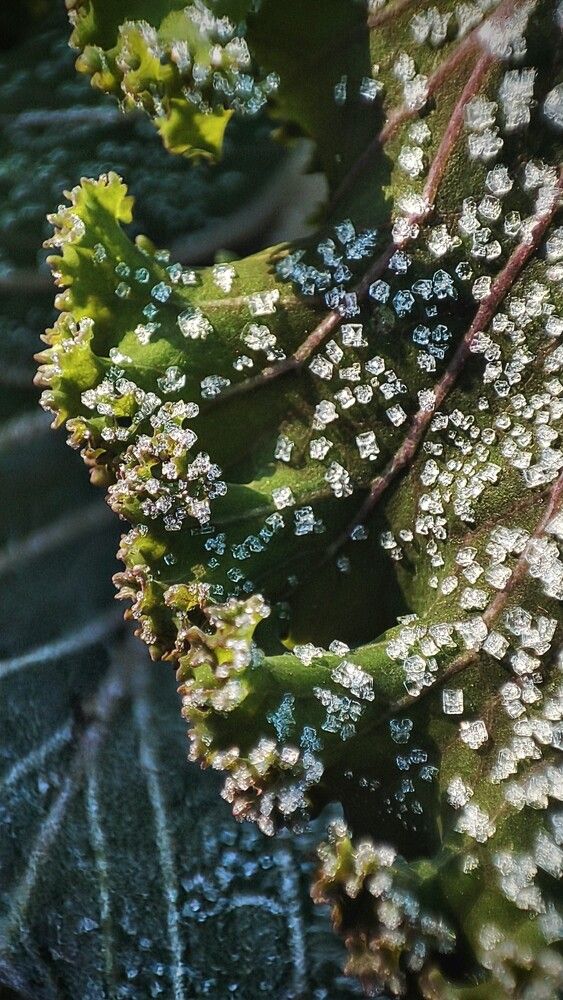 Photograph by Оксана Георгиевна