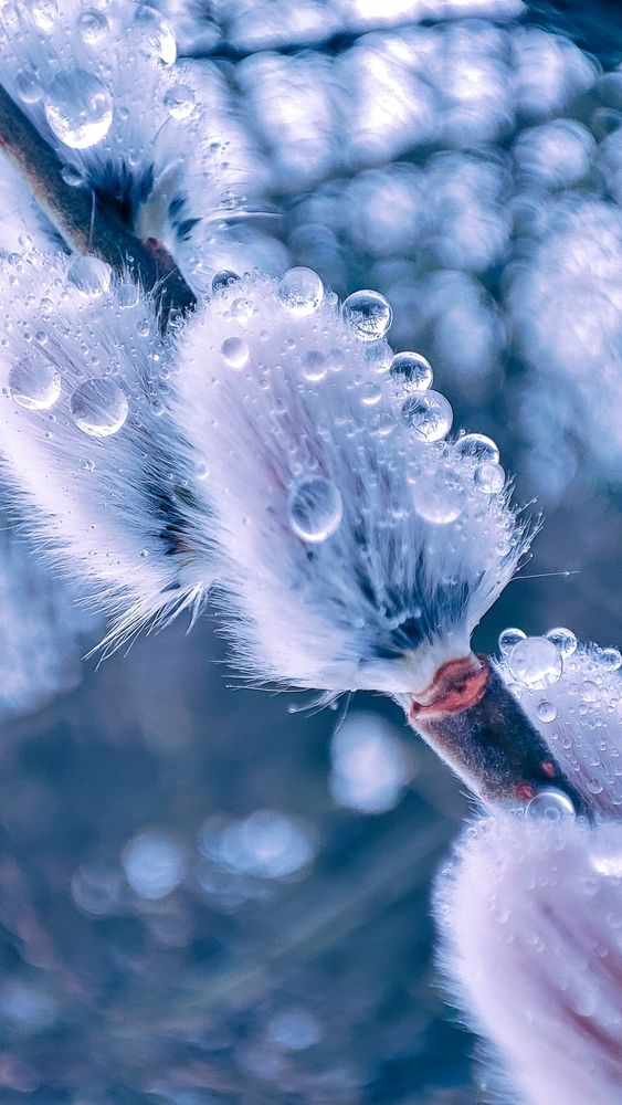 Photograph by Оксана Георгиевна
