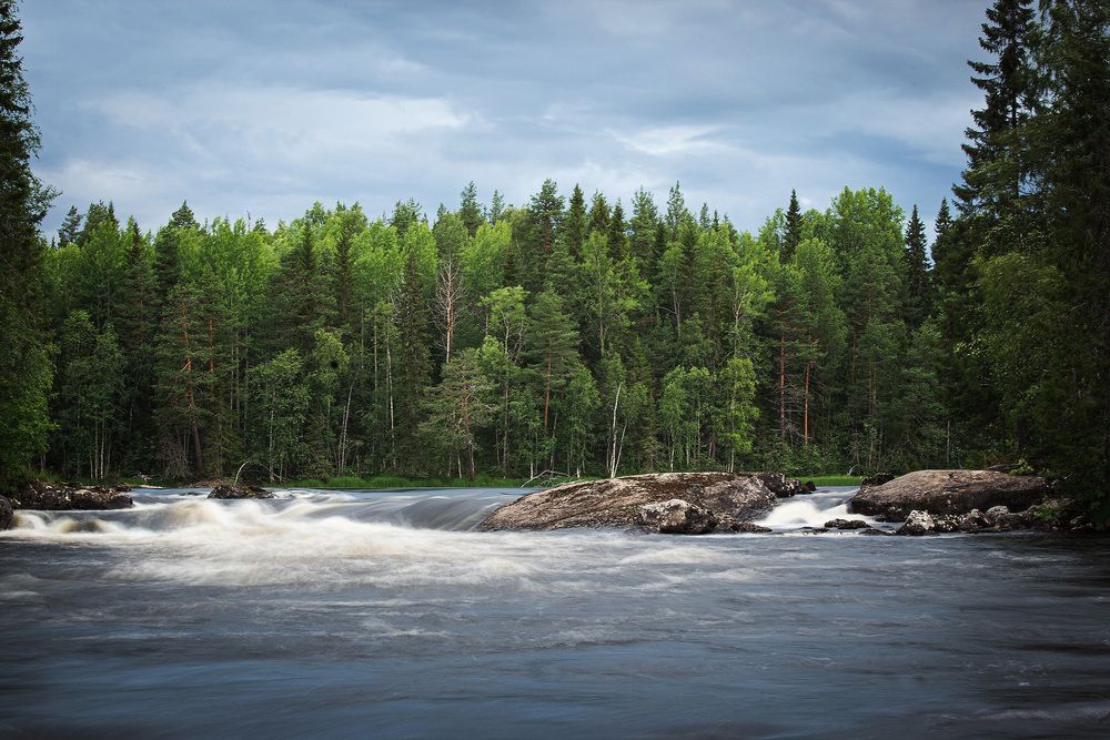 Фотография автора Коцюрба Татьяна