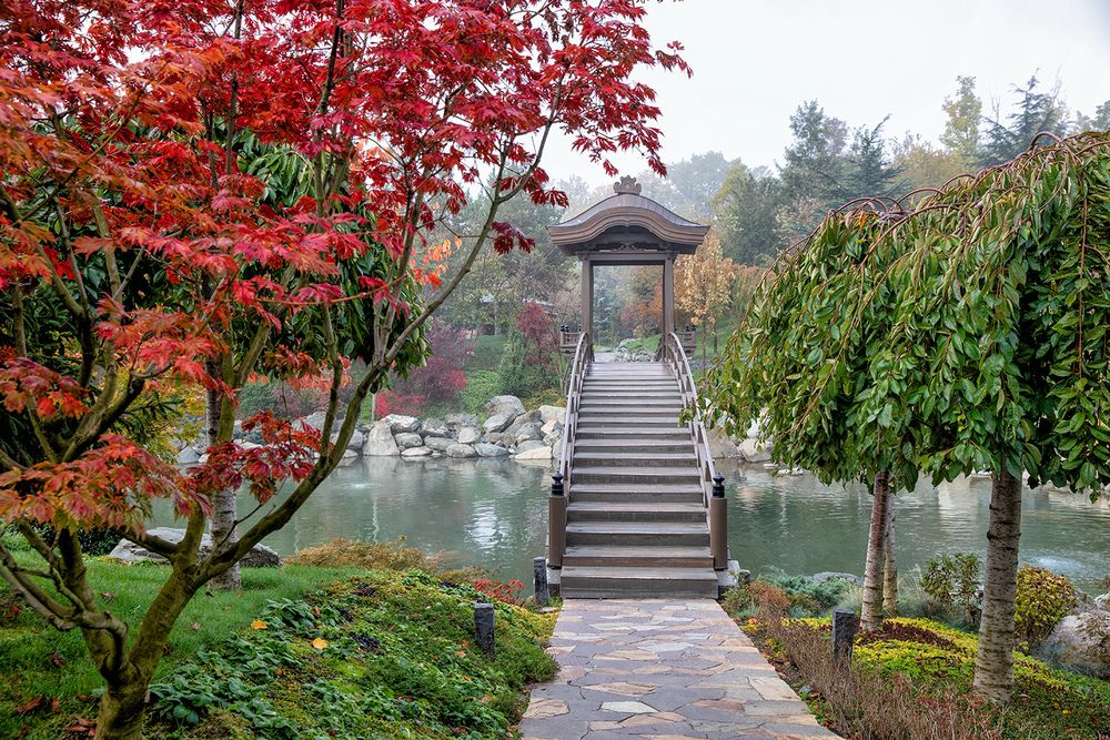 Японский сад