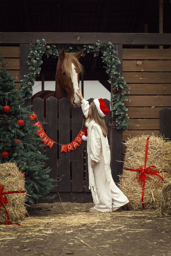 Фотография #13248789