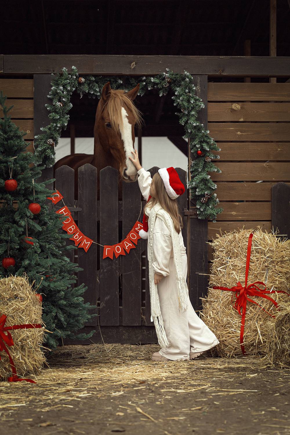 Фотография #13248789