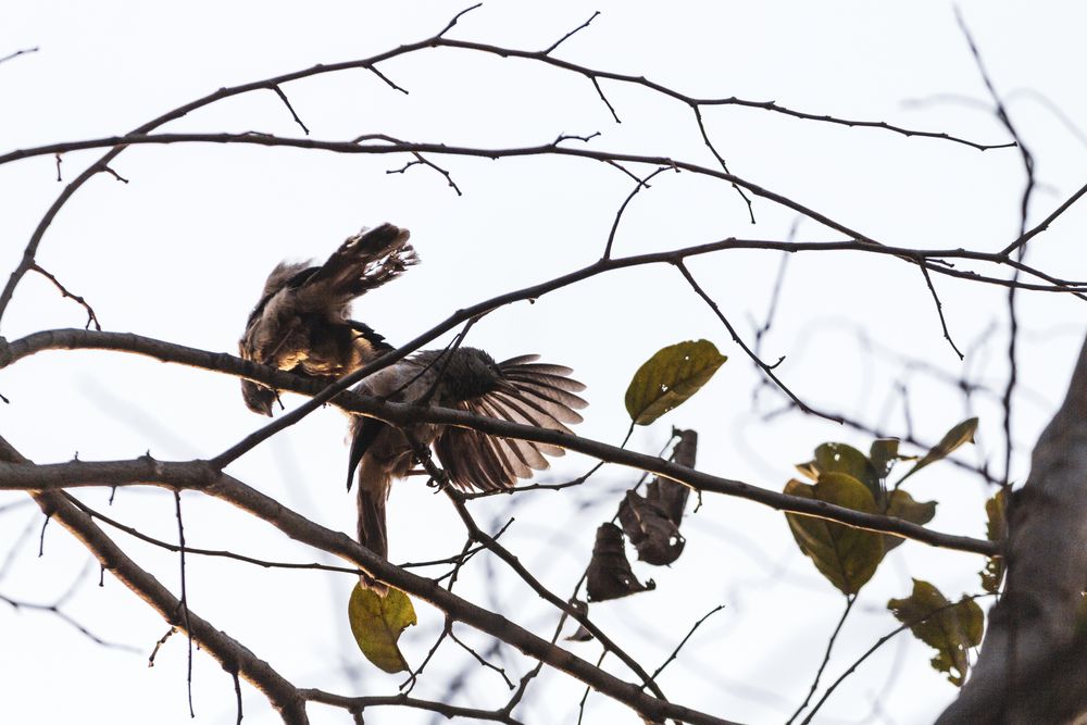 Photograph by vijay parmar