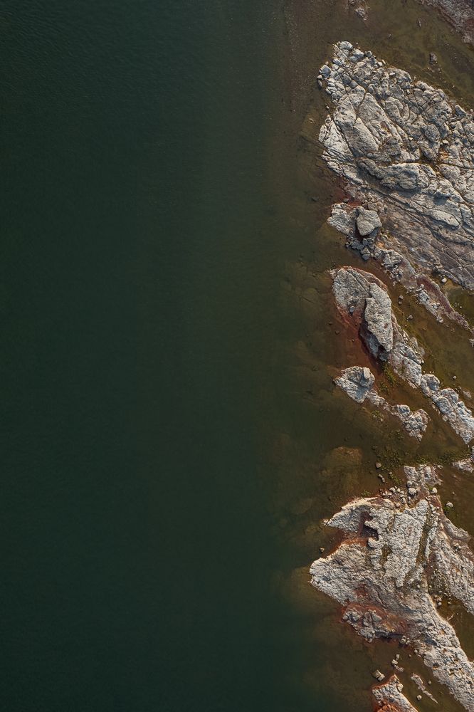 Фотография автора S. Martin