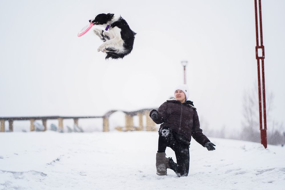 Photograph by Эрика Герман