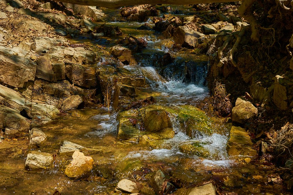 Photograph by Неман Лариса