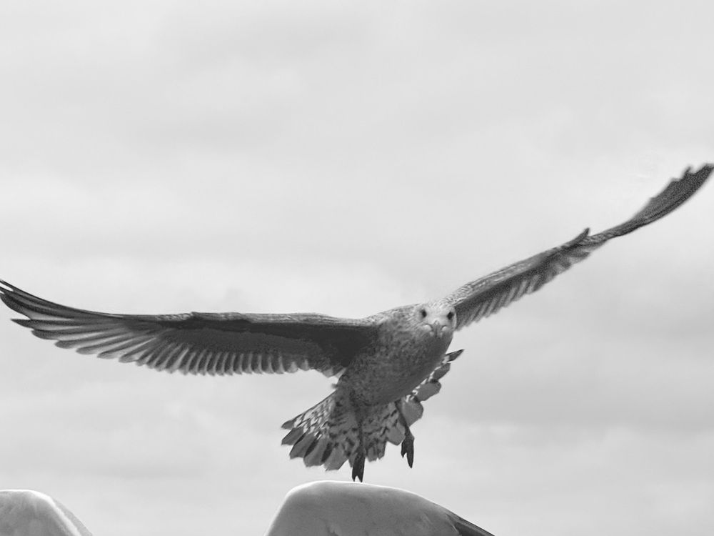 Photograph by Светлана Долганова